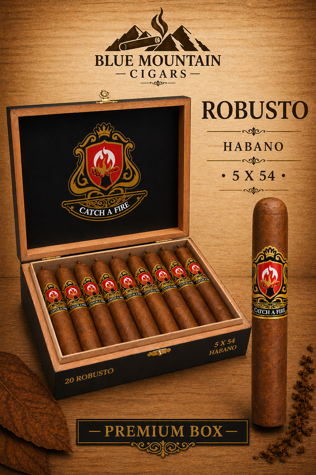 ROBUSTO