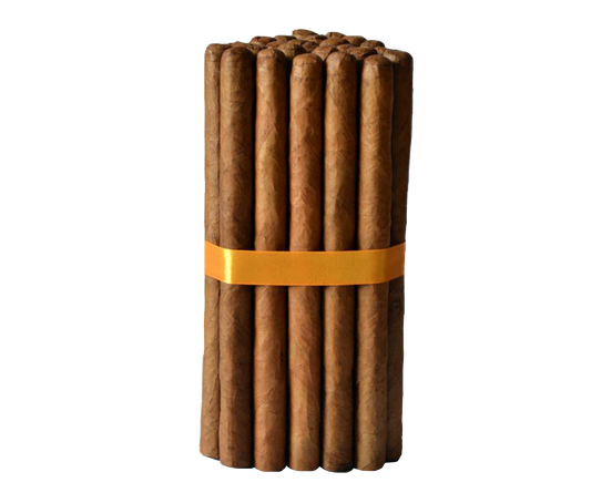 Lancero 7½x38